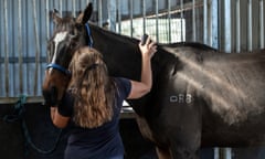 Tara Rose at work in stables