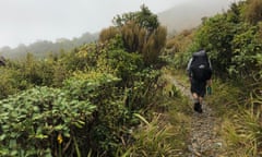 Paparoa Track