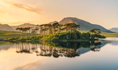 Twelve Pines at Derryclare Lough, Connemara, Ireland.<br>Ireland, County Galway: the Pines island reflecting on the surface of Derryclare Lake at sunset.