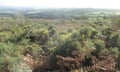 Kit Hill above fresh green pastures below