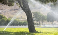 drought irrigation