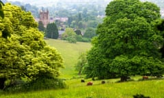 Cows graze in meadow in Batheaston, Bath, Somerset, England, UK<br>G3949M Cows graze in meadow in Batheaston, Bath, Somerset, England, UK