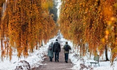 Autumn leaves and snow in Stockholm