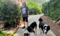 A woman on a tree-lined path stands near two dogs