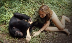 Documentary - Jane
Jane Goodall