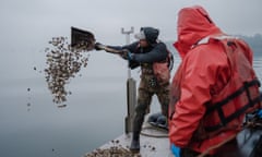 The crew unloads old shells from the boat to prepare for a harvest. Image Credit: Jovelle Tamayo/High Country News