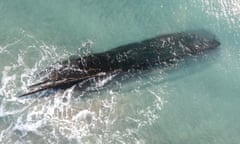 Beneath aqua-colored water with white froth is a long, looming shadow that is shaped like the underside of the hull of a boat, with a long thin expanse of wood above the surface.