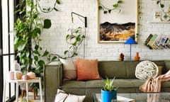 Living room with devil's ivy