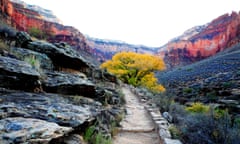 BRIGHT ANGEL TRAIL NEAR INDIAN GARDEN IN LATE FALL IN GRAND CANYON NATIONAL PARK, ARIZONA, USA<br>BKKNF8 BRIGHT ANGEL TRAIL NEAR INDIAN GARDEN IN LATE FALL IN GRAND CANYON NATIONAL PARK, ARIZONA, USA