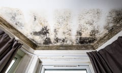 Mould on walls and ceiling