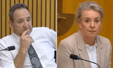 'Like a naughty little girl': Labor senator snaps at Bridget McKenzie during hearing – video