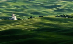 A sea of green fields in Palouse, the 'Tuscany of America'