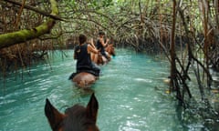 A trail ride through mangroves at a horse sanctuary at Lope Lope Lodge, Espiritu Santo