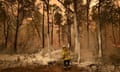 A firefighter sprays foam retardant on a backburn ahead of a fire front