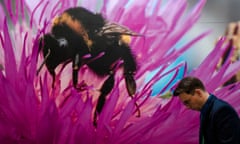 A man on a laptop works in front of a big image of a bumblebee on a purple flower