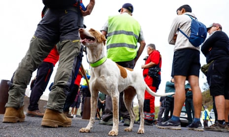 Rescuers and a sniffer dog preparing to search the Masca Gorge, near where Slater was last heard from.