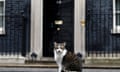 Larry the cat sits outside No 10