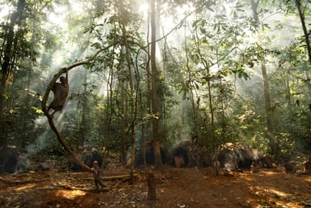 A Baka village in Sangha forest, Central African Republic.