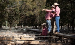 Sale day at Deniliquin saleyards in  NSW