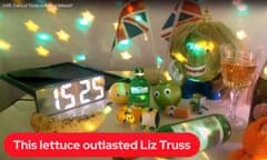 A screengrab from the YouTube livestream of the Daily Star’s decaying lettuce on Thursday after Liz Truss resigned.