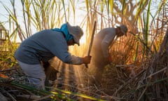 Sugar cane cutters work in the fields in Chichigalpa, Nicaragua
