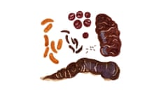 Illustration of different sizes and shapes of animal poo, on a white background