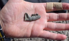 The jaw of a Periptychid, an extinct condylarth. From New Mexico.