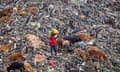 A man in a red shirt stands on a mound of waste near brown cows and large grey storks