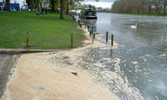 brown scum lines the river bank with a canal boat and swan in the distance