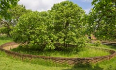 Newton’s apple tree in the orchard at Woolsthorpe Manor, Lincolnshire