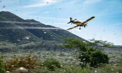 UN plane sprays insecticide