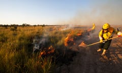 Fighting fire, main threat for breeding Blue-throated Macaws (Bennett Hennessey)
Firefighter Bolivia - Tjalle Boorsma, based in Santa Cruz de la Sierra