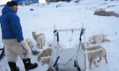 Writer Nancy Campbell’s Greenland host, Malik, with his dogsled team