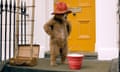 Paddington Bear, in his red hat, stands on the doorstep of his new home, hands on hips, looking down at a red bucket