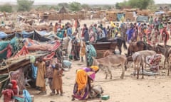 Sudanese refugees, along with their livestock, crossing into Chad, 30 April 2023.