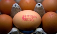 British eggs are stamped with a Lion mark.