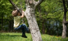 boy climbing tree