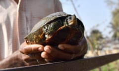 Turtle caretaker Pranab Malakar