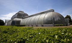 The Palm House at Royal Botanical Gardens Kew, built 1844-48 by Richard Turner and designed by Decimus Burton.