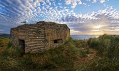 Seagull on dawn watch from second world war pillbox on the Northumberland coast, England, UK.