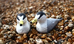 Little terns ooden models