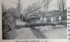 Fallen trees after Storm Ulysses.