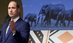 Prince William delivers a speech at the Tusk conservation awards in London last year