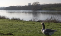 Part of the land by the river Meuse/Maas