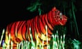 Giant Animal Lanterns Light Up Taronga Zoo For Vivid Sydney<br>SYDNEY, AUSTRALIA - MAY 24:  A Sumatran Tiger light sculpture is displayed during a media preview of Vivid Sydney illuminated displays at Taronga Zoo on May 24, 2016 in Sydney, Australia. Vivid is lighting up at Taronga Zoo for the first time with ten giant animal sculptures representing critical species the zoo is committed to protecting. Held annually, Vivid Sydney is the world's largest festival of light, music and ideas running for 23 days.  (Photo by Cameron Spencer/Getty Images)