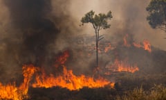 A wildfire engulfing a hillside in Rhodes, Greece, on 27 July.