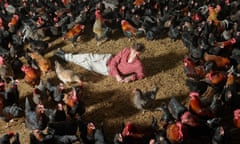 Arthur Parkinson shot for the Observer magazine at Crackleberry Farm