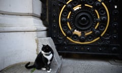 Palmerston, the Foreign Office cat, outside Downing Street this week