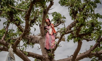 ‘It’s gentle and poetic’ … a girl climbs ‘the tree of life’.