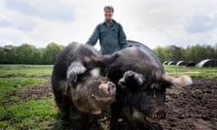 Kees Scheepens and his two favourite pigs: Borough, left, and Oma.